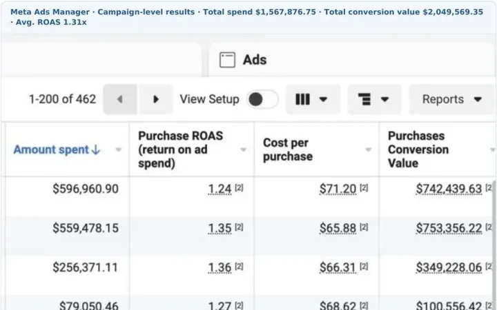 Campaign-level results across 462 ads: $1.57M spent, $2.05M in conversion value, 1.31x average ROAS